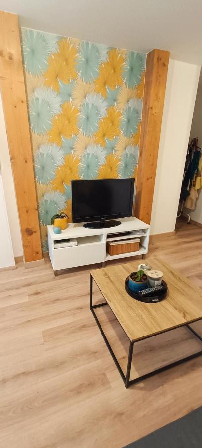 Elegant Et Central 佩皮尼昂 外观 照片